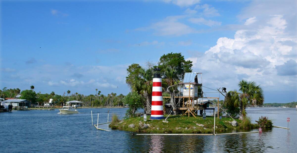 USA - Animals - Monkey Island