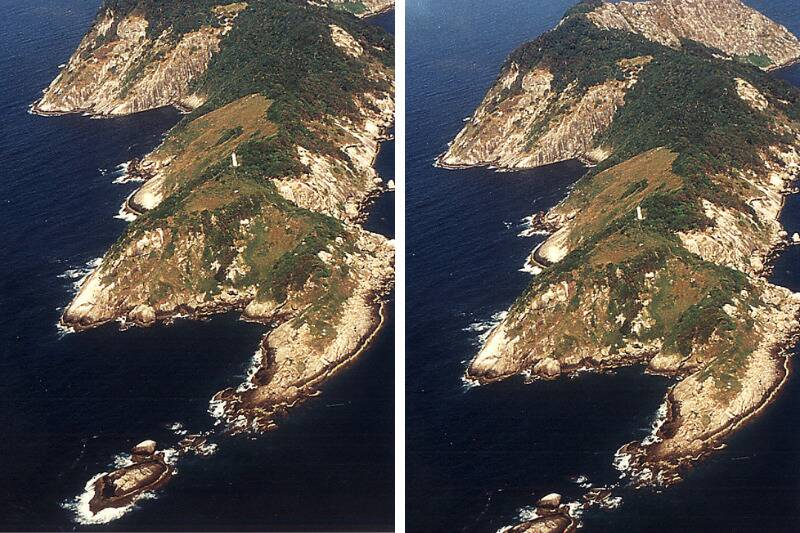 snake island