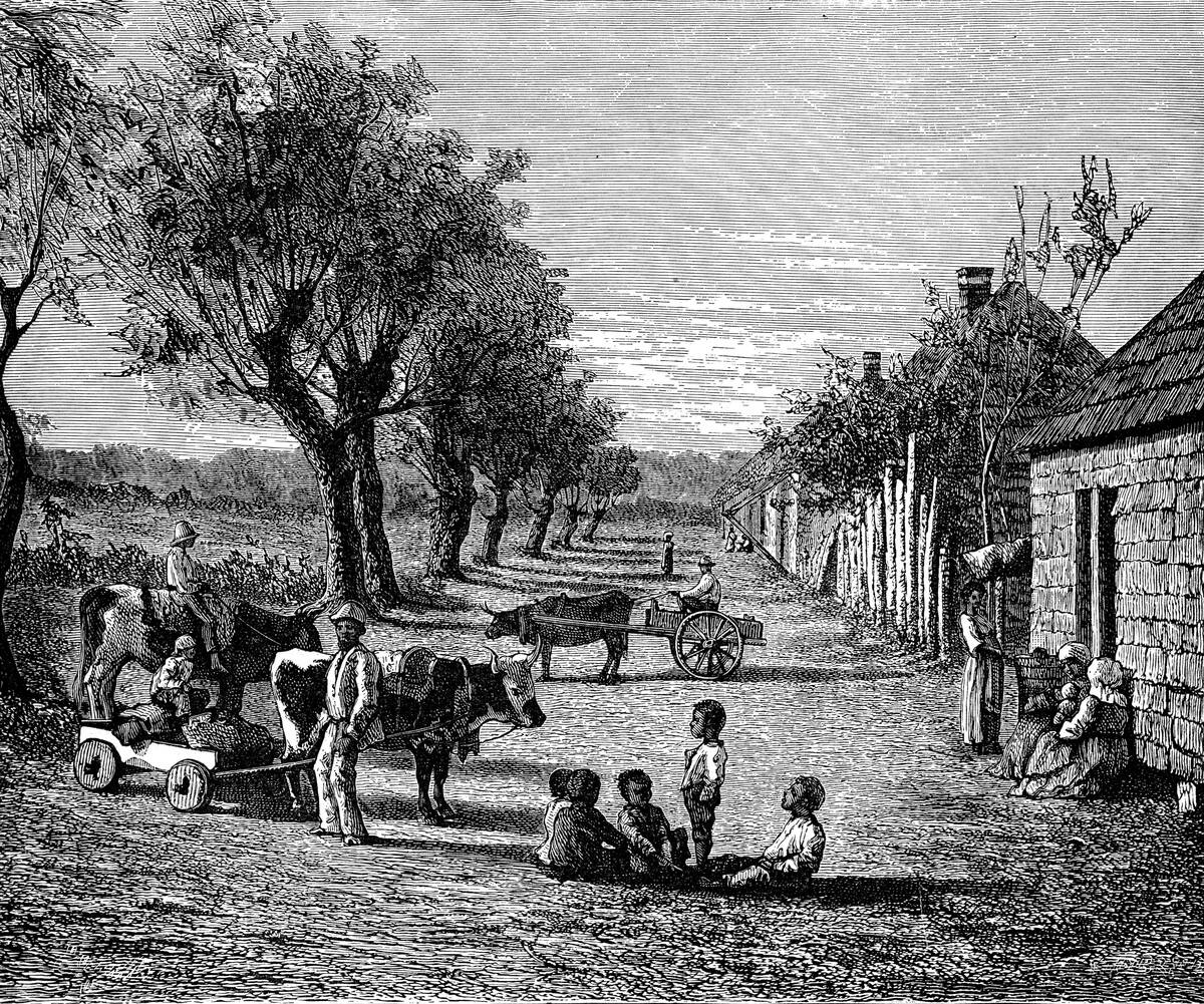 Slave quarters on a plantation in Georgia, USA.