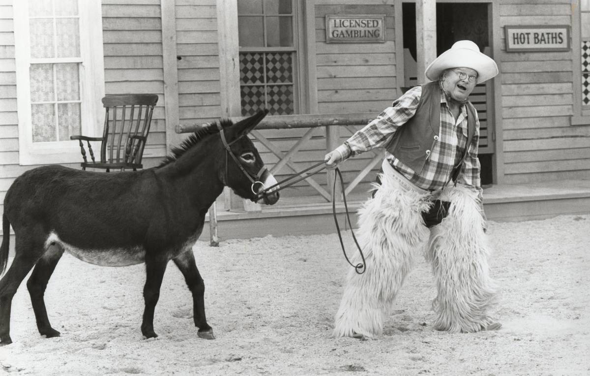 donkey-48193