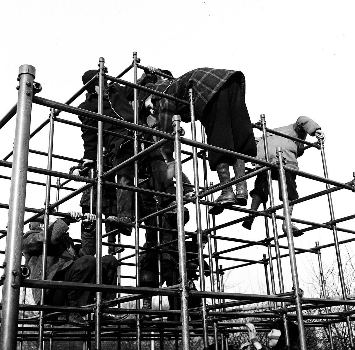Kids On A Jungle Gym