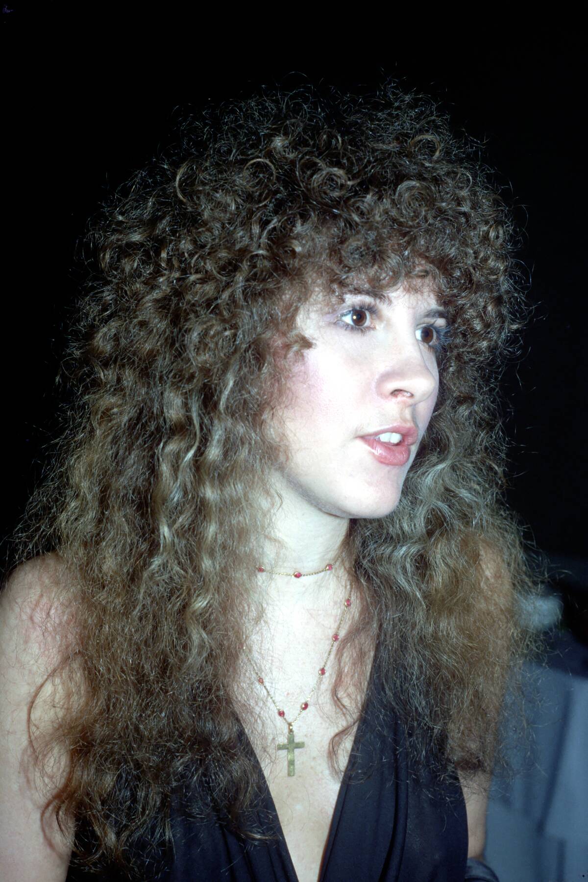 Stevie Nicks Attends An Event