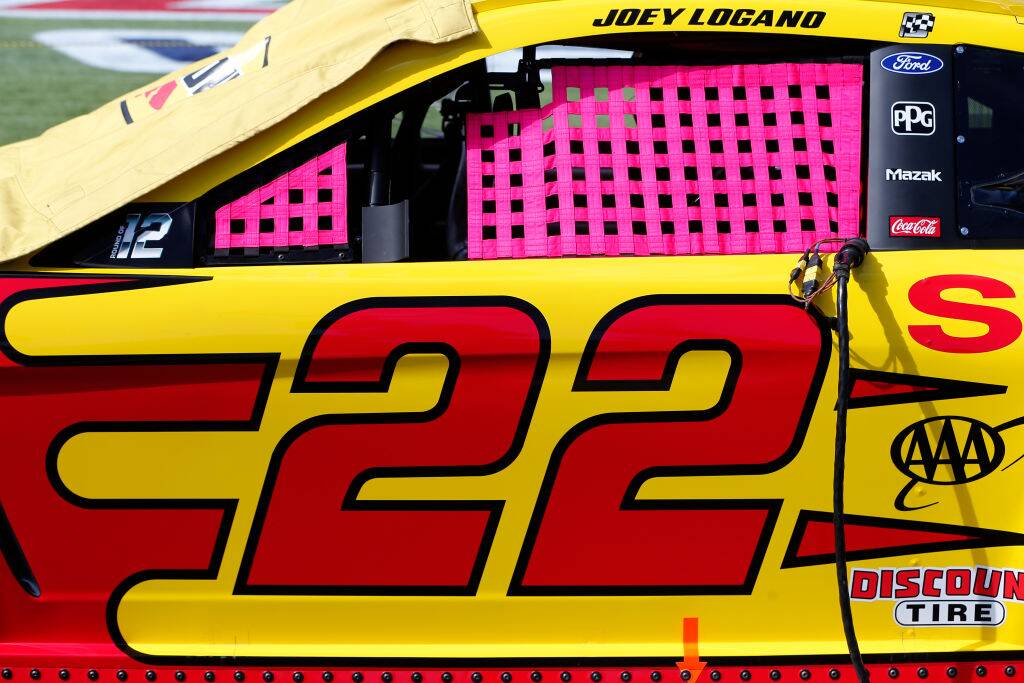 NASCAR Window netting