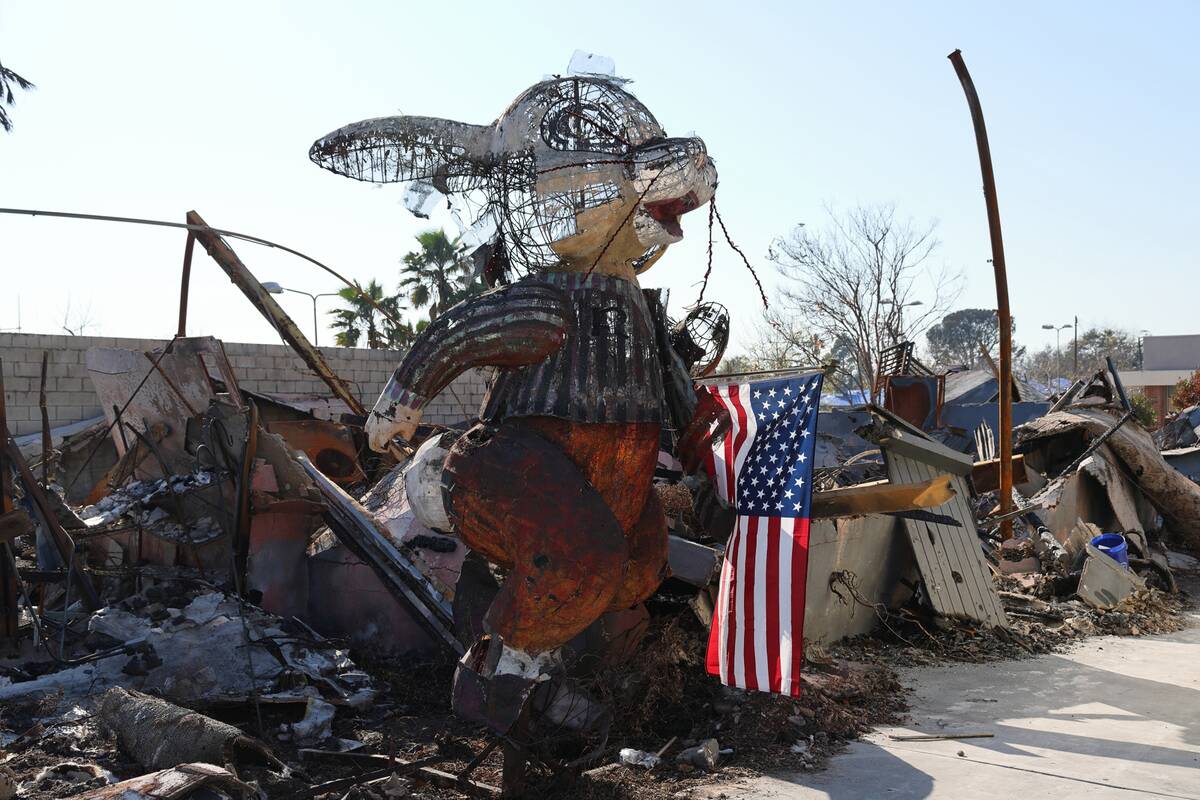 Fire Rebuild Efforts Underway In Altadena