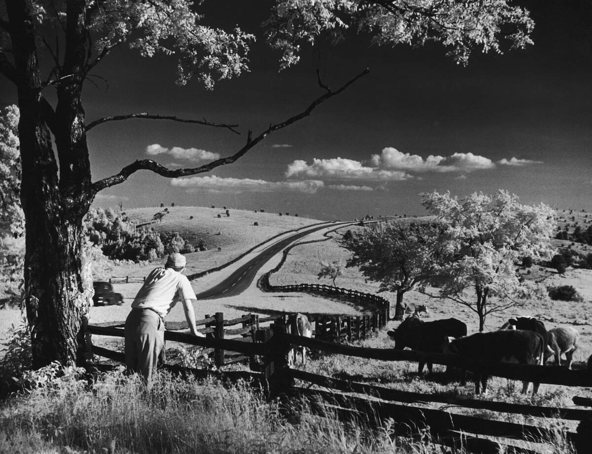 Pastoral View