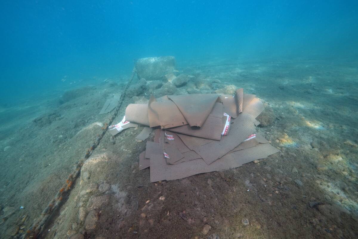 Sea cleaning operation conducted in Antalya's Kas by underwater teams