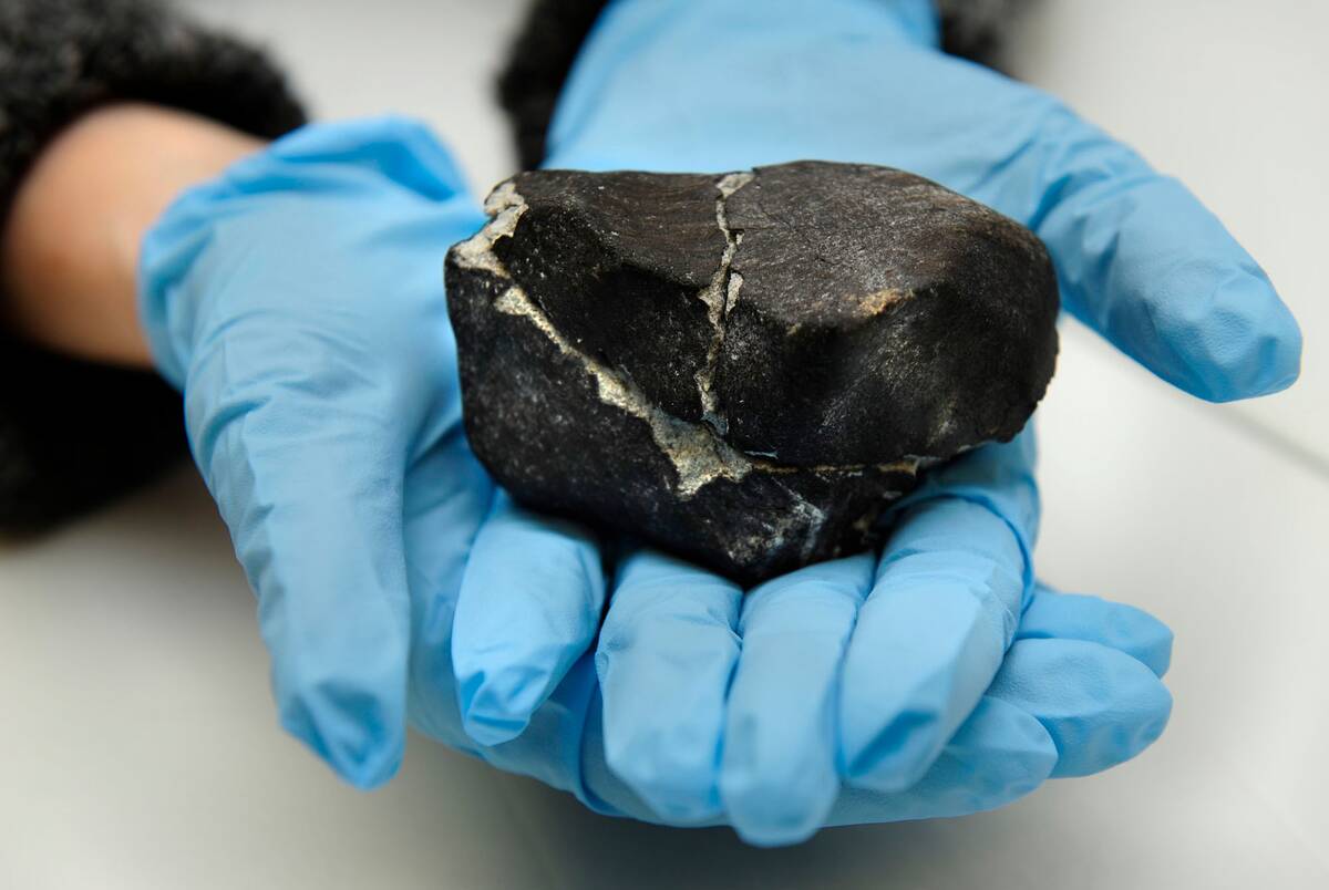Smithsonian Museum of Natural History studies the meteorite that came through a Lorton, VA doctors office.