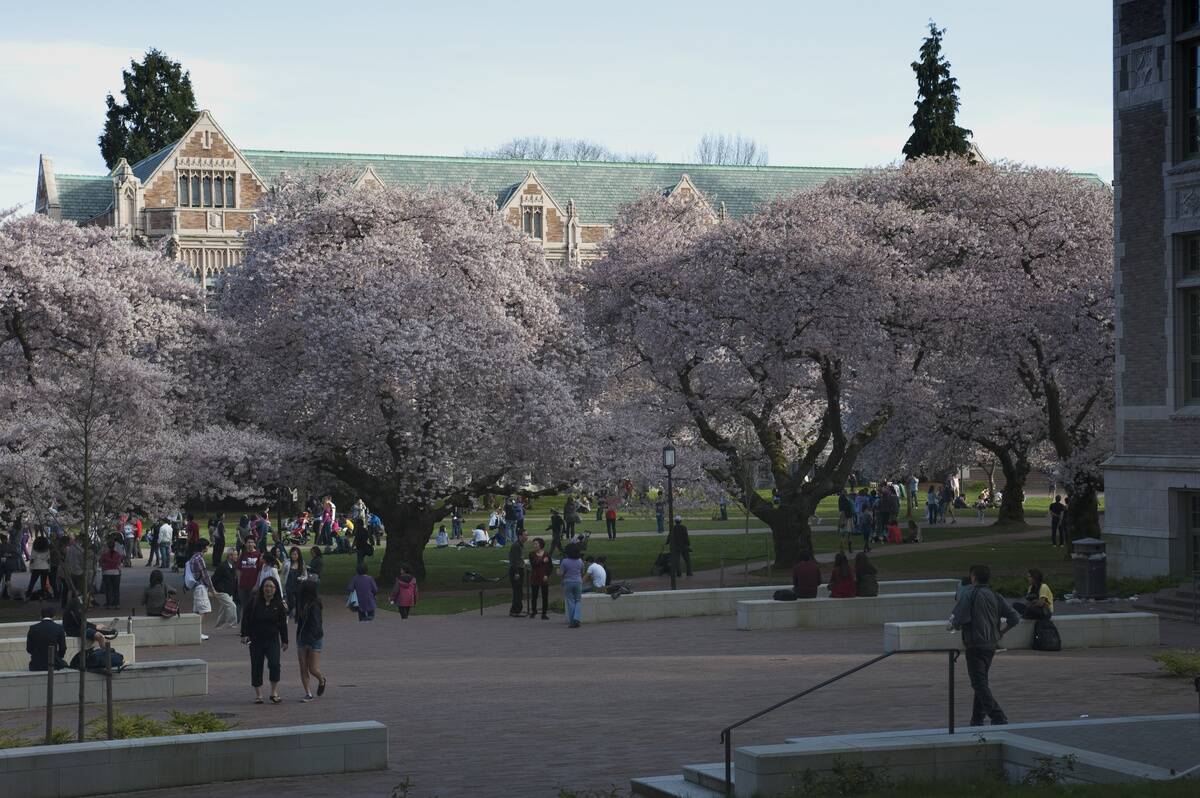 USA, Washington State, Seattle, University Of Washington...