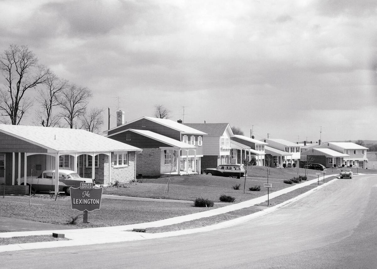 1950s 1960s Suburban Neighb...