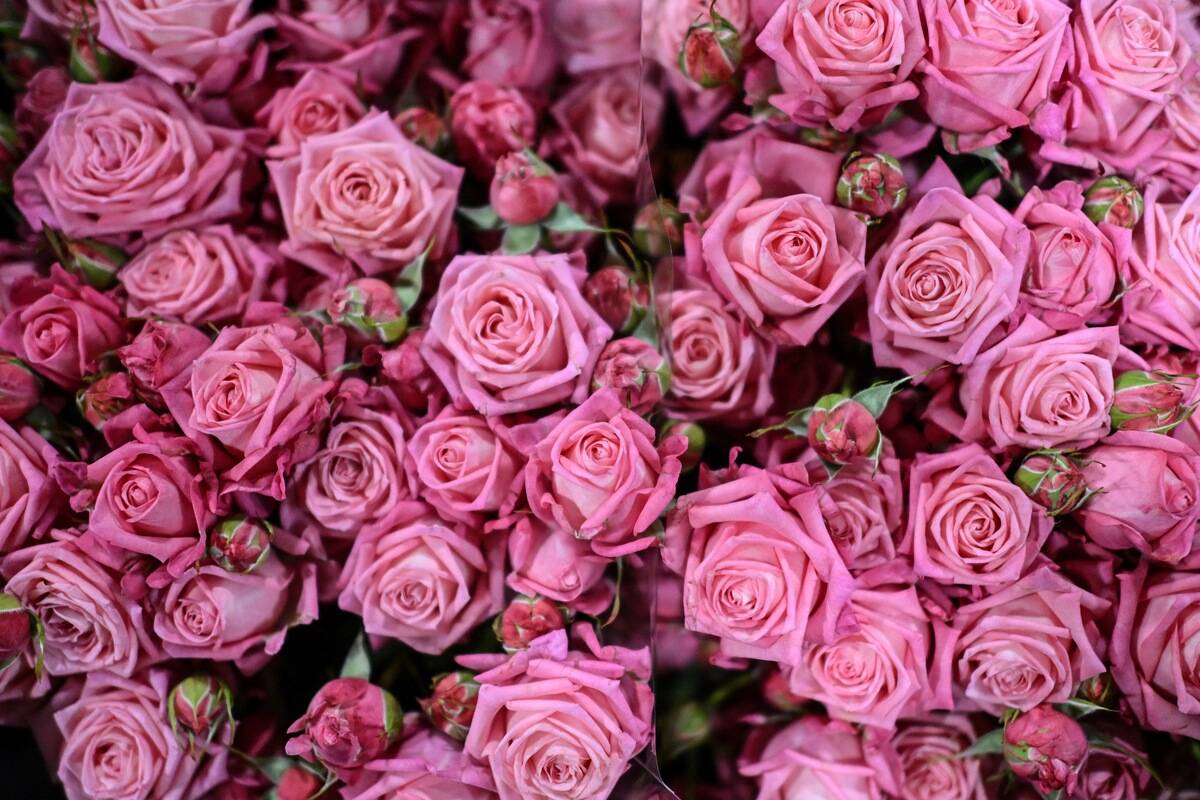 BRITAIN-FOOD-FLOWERS-MARKET-LIFESTYLE