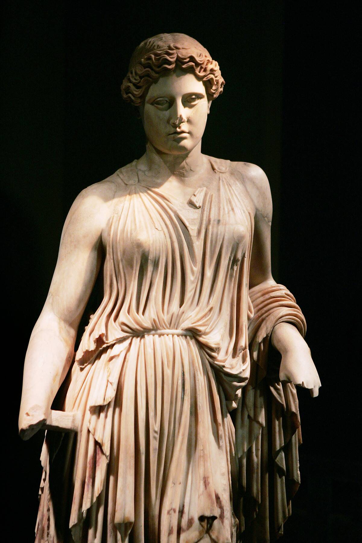 Chicago's Field Museum Opens Pompeii Exhibit