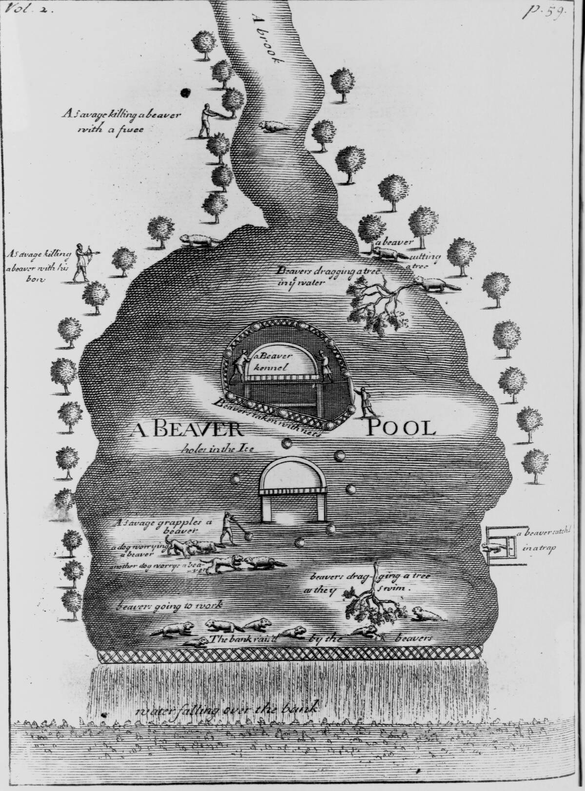 Engraving of Beaver Pond