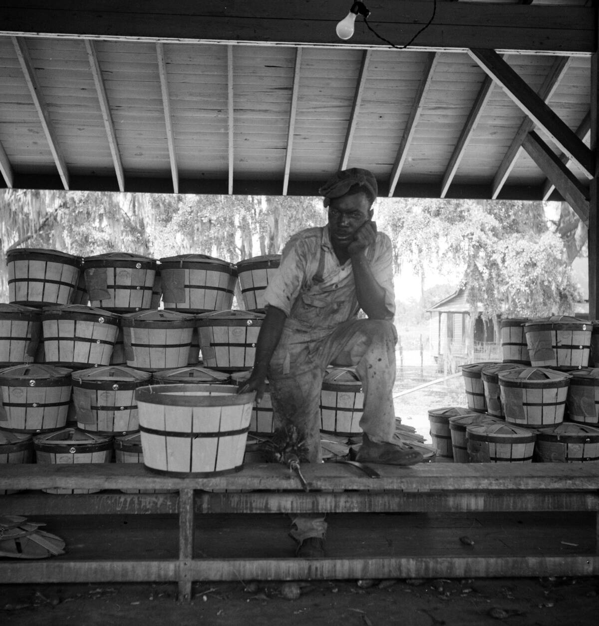 Migrant shed worker. Northeast Florida dated 19360101