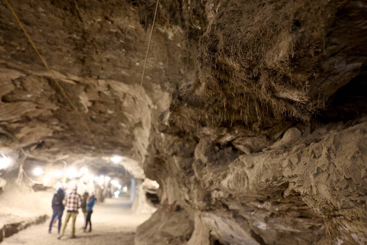 NASA Researchers Tour Permafrost Tunnel Near Fairbanks, Alaska