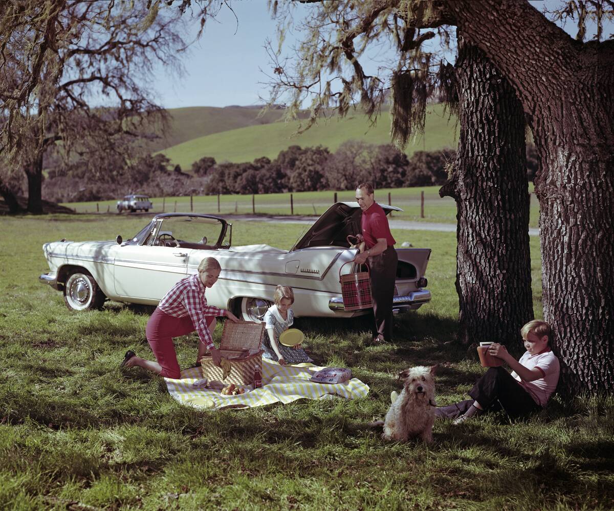 Out On A Picnic