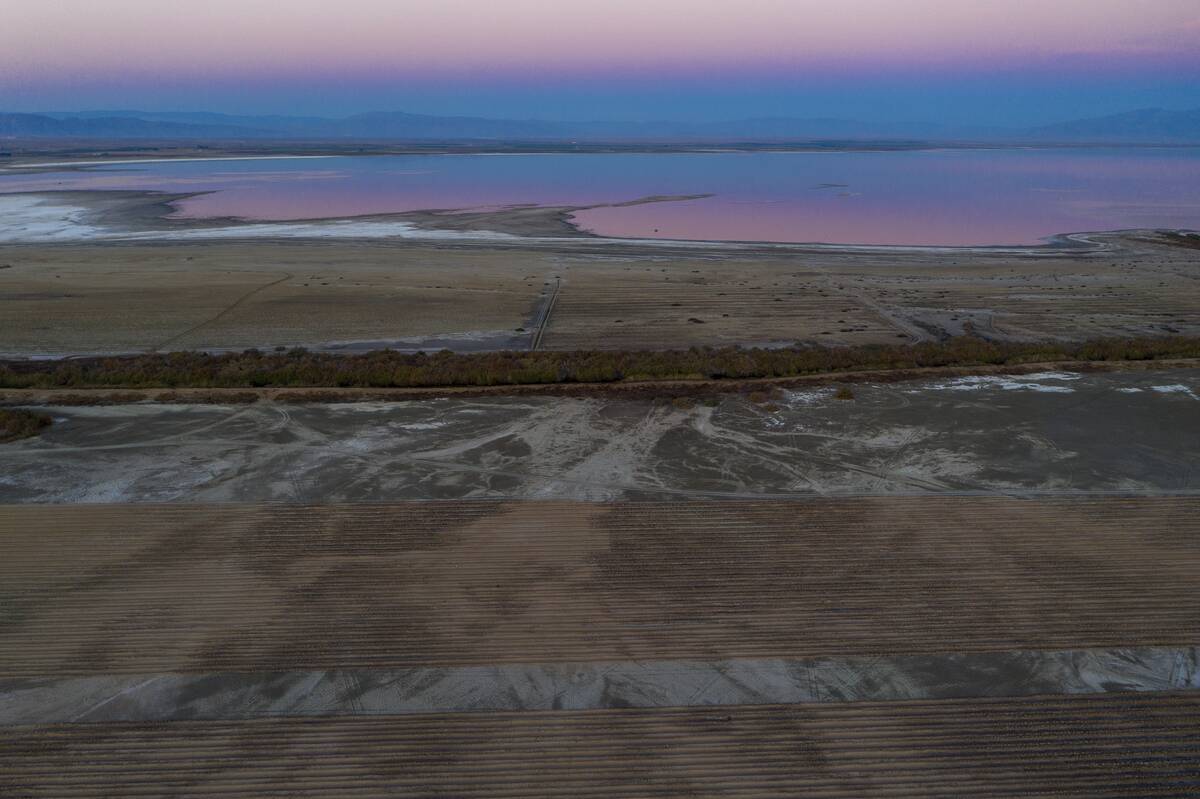 Salton Sea In California Faces Ecological Collapse