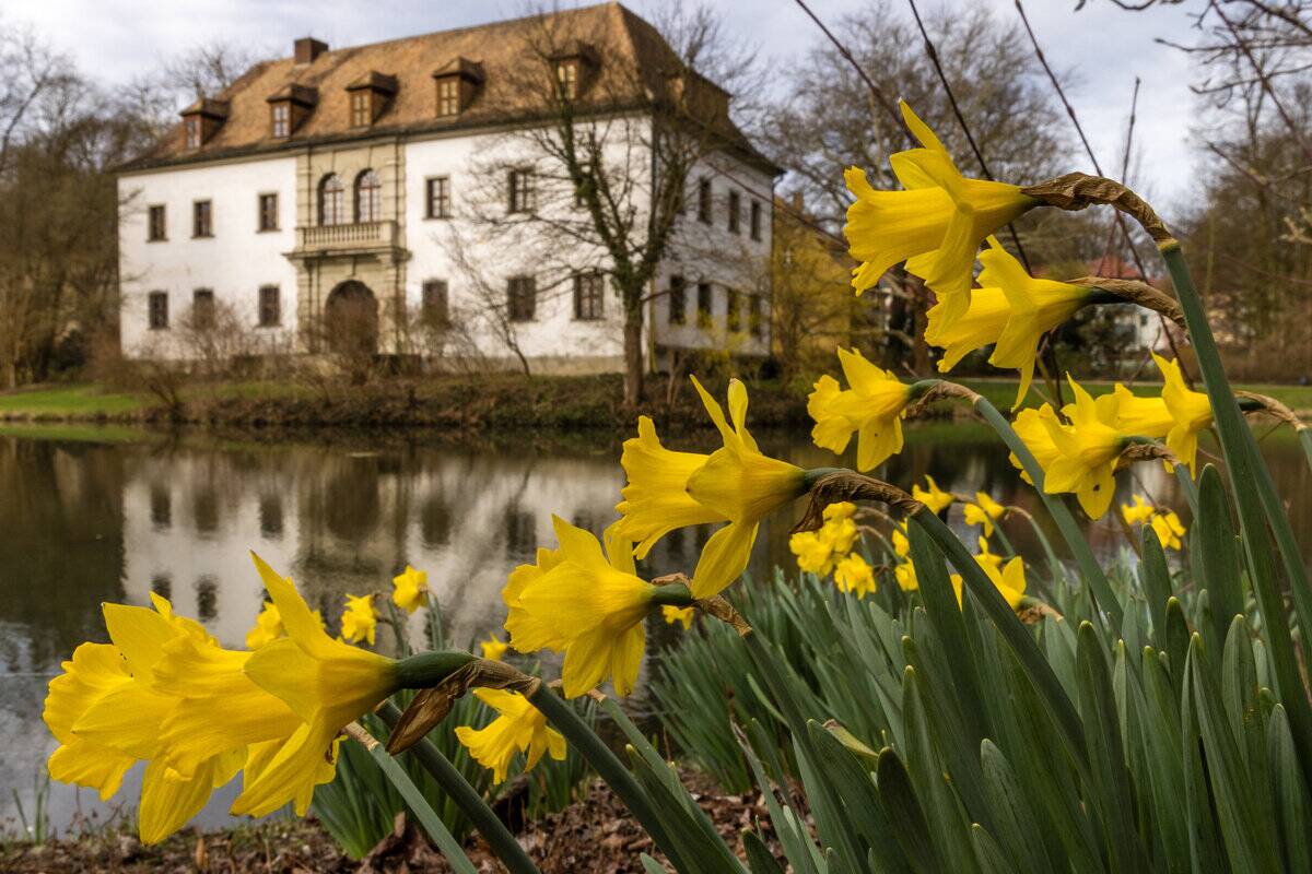 Spring awakening in Pückler Park