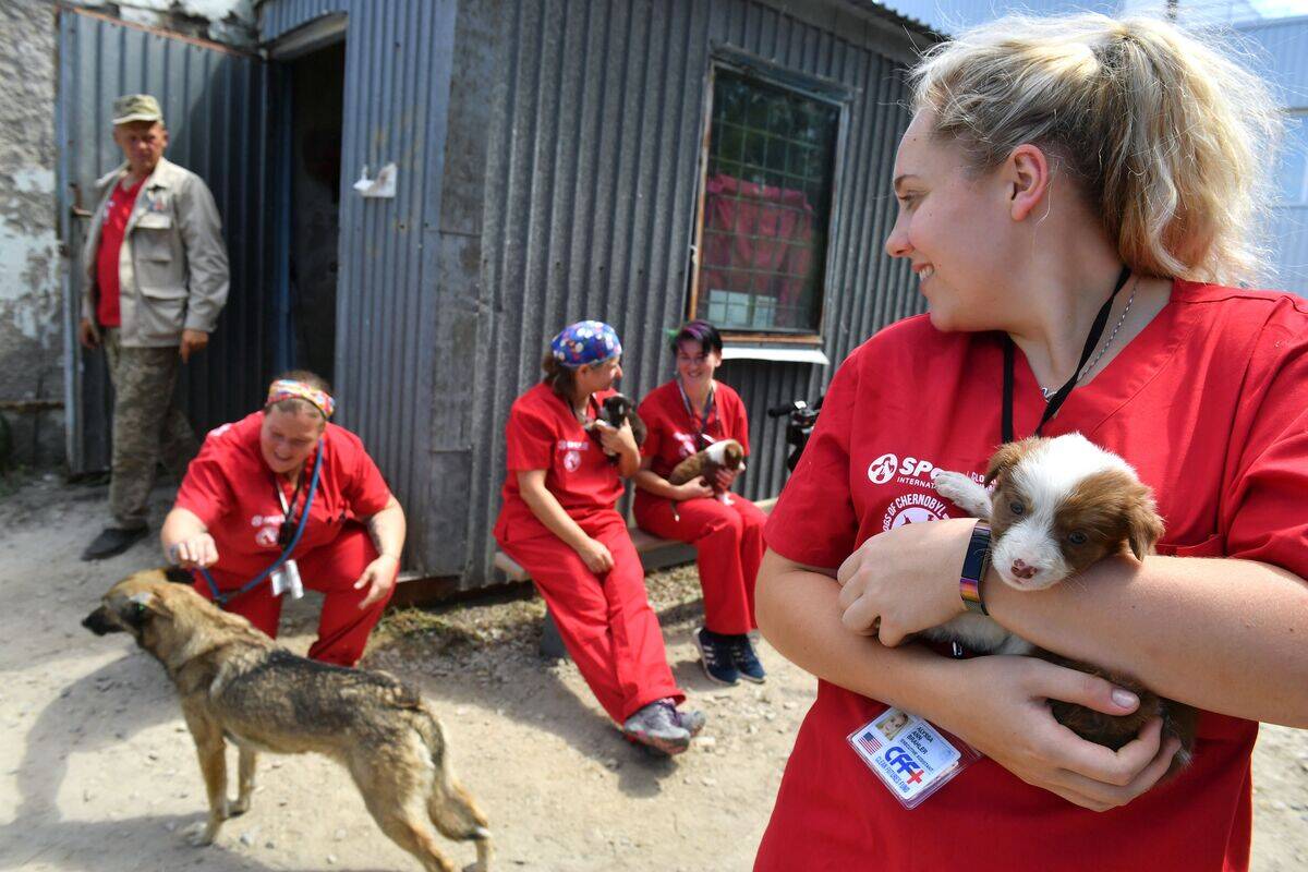 UKRAINE-CHERNOBYL-ANIMALS-STRAY-DOGS