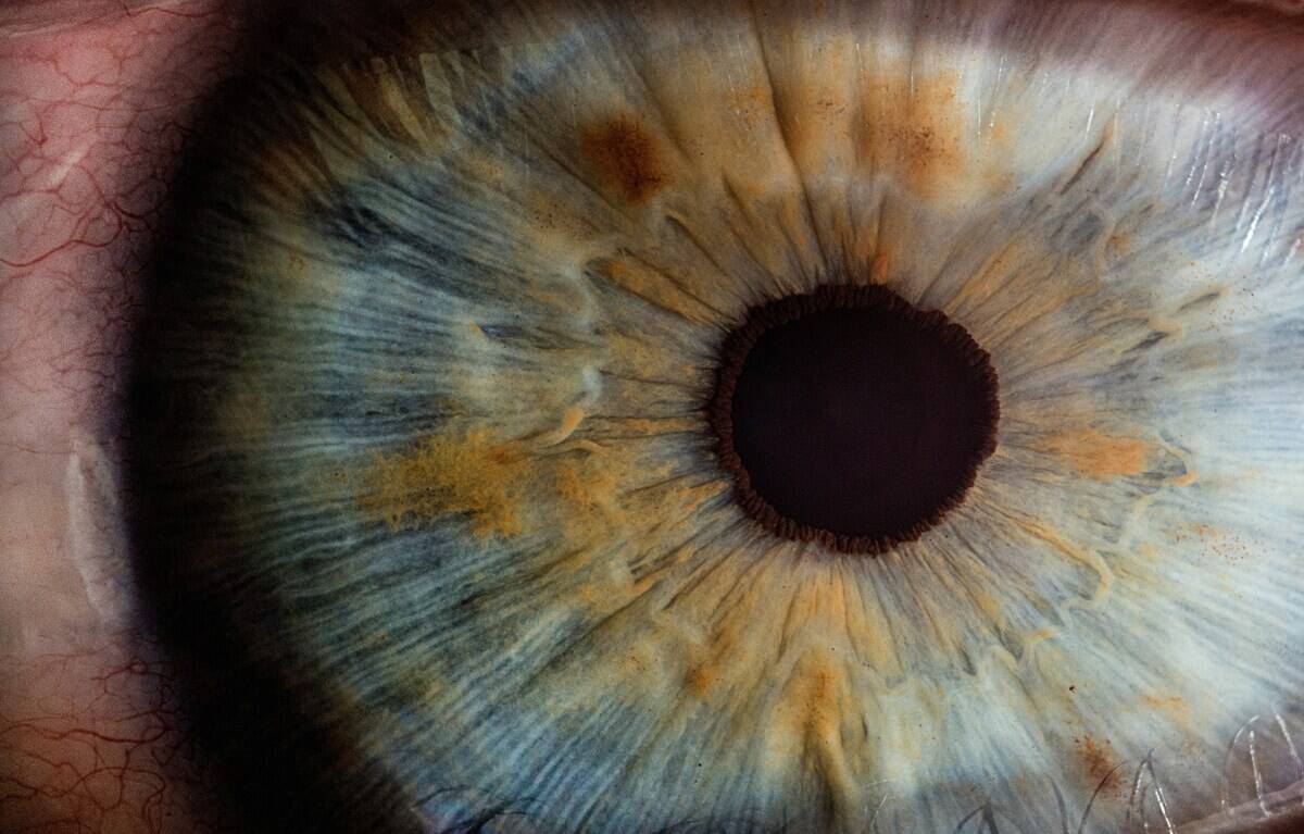 v2osk-In4XVKhYaiI-unsplash