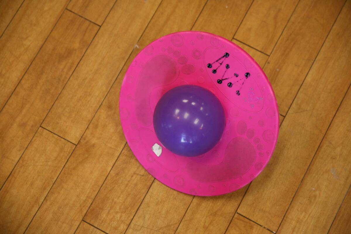 A Pogo Ball is pictured inside of Learning Express of Wyomissing. Photo by Natalie Kolb 2/20/2015