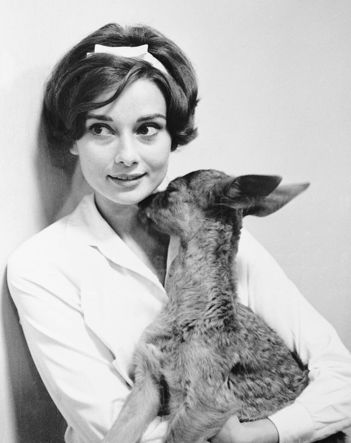 Audrey Hepburn Holding Her Pet Fawn