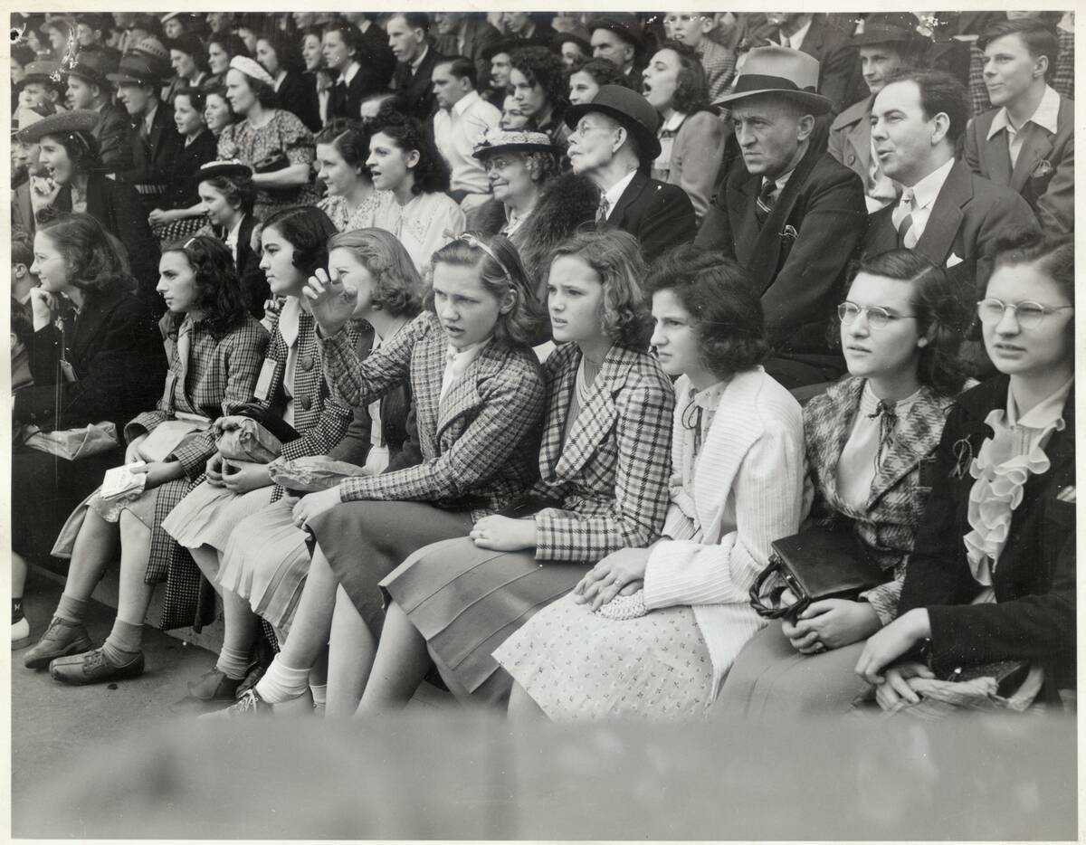 Crowd Enjoying a Show