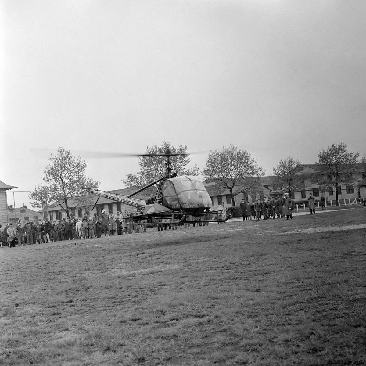 Hélicoptère 'Hiller UH-12 Raven'