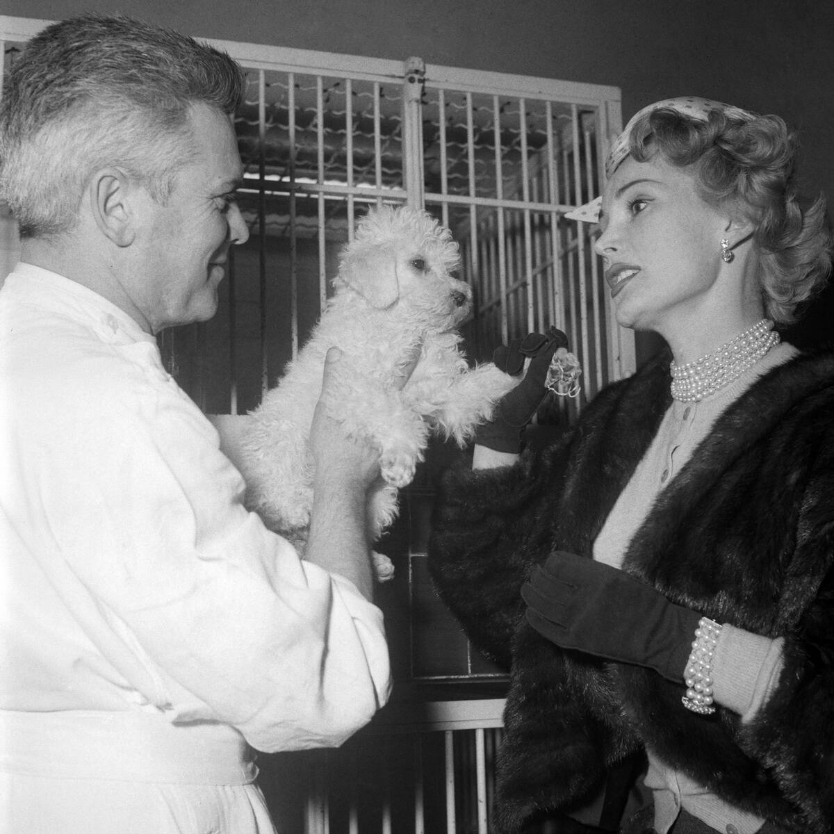 Zsa Zsa Gabor