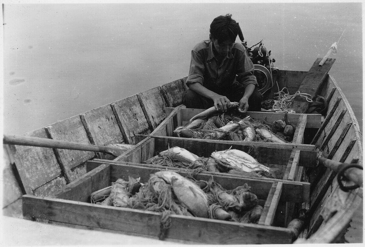 Boy_in_boat_with_large_catch_of_fish_ NARA_-_285703