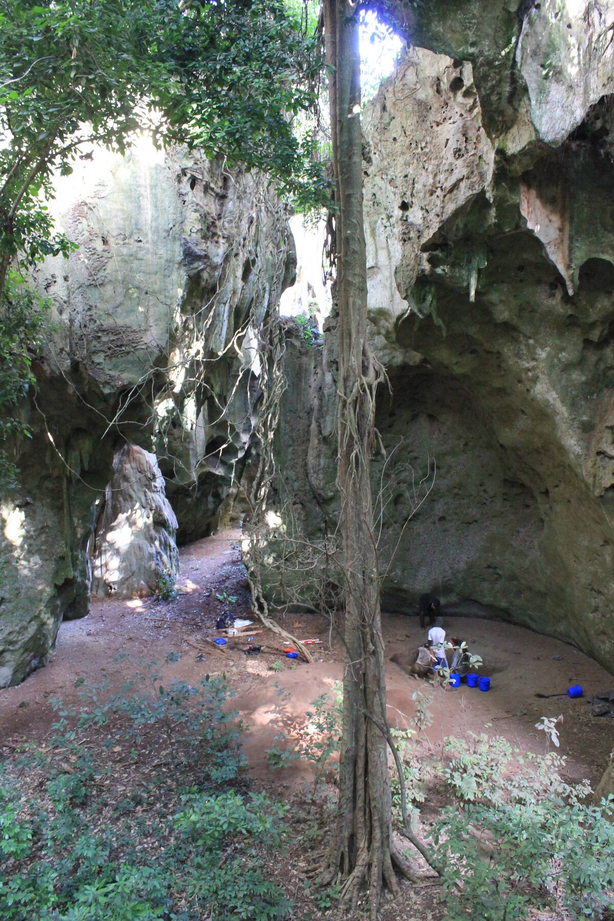 Panga_ya_Saidi_archaeological_site