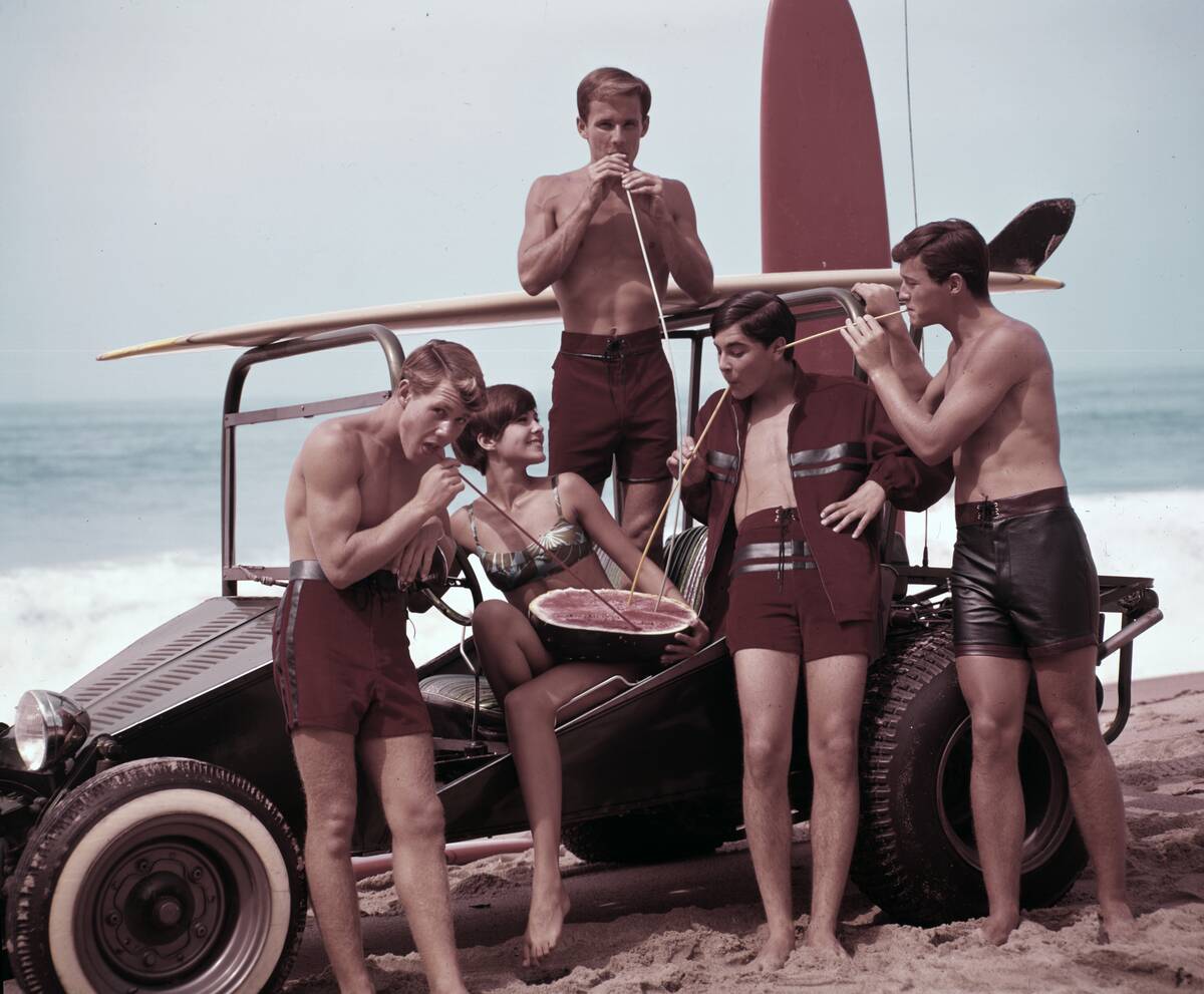Beach Buggy Buddies