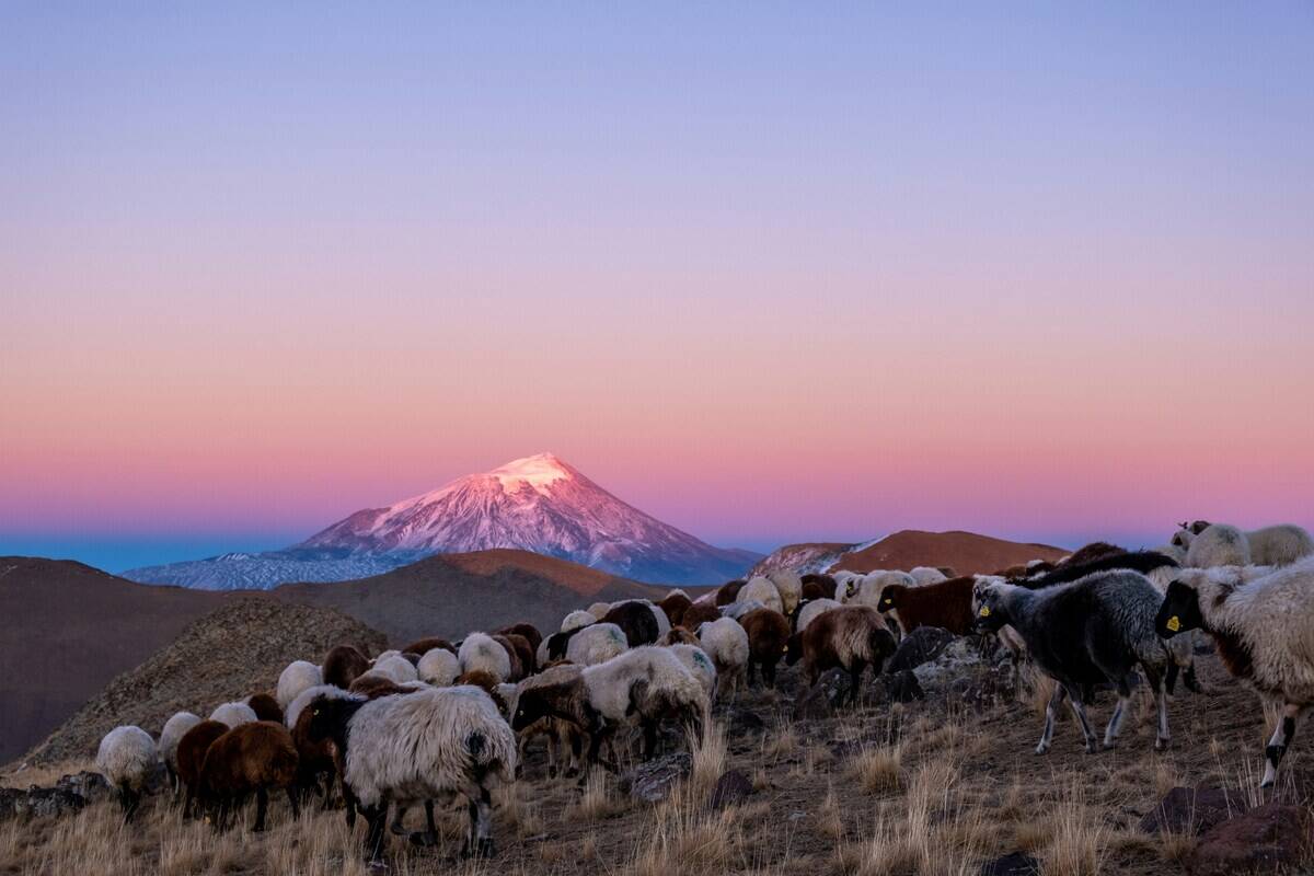 daniel-born-wlU79tzEwa8-unsplash