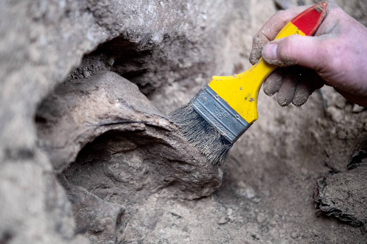 Excavations at the unicorn cave