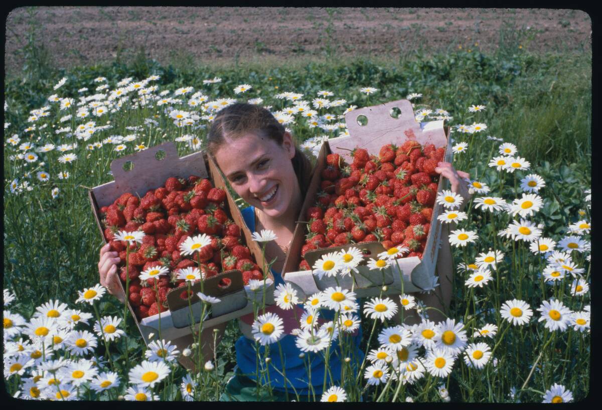 Girl Holding Strawberries