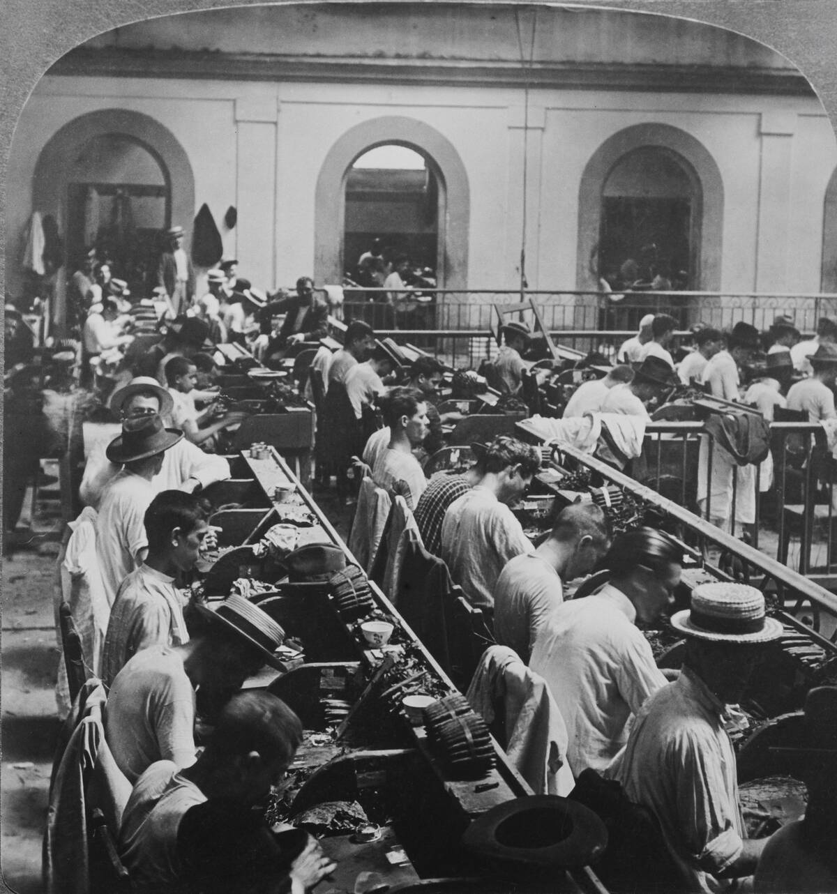 Havana's Largest Cigar Factory