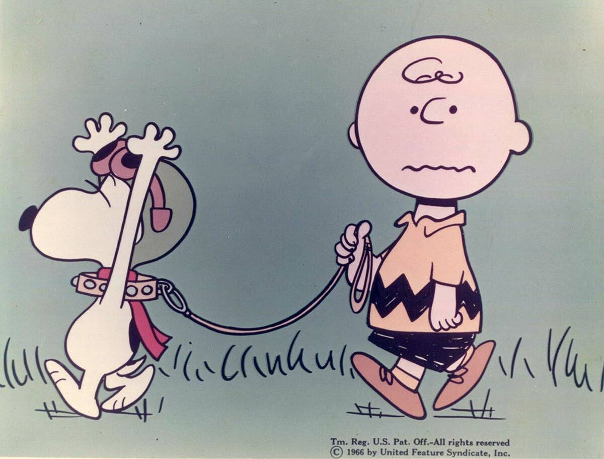 hes-your-dog-charlie-brown_8c7bCz