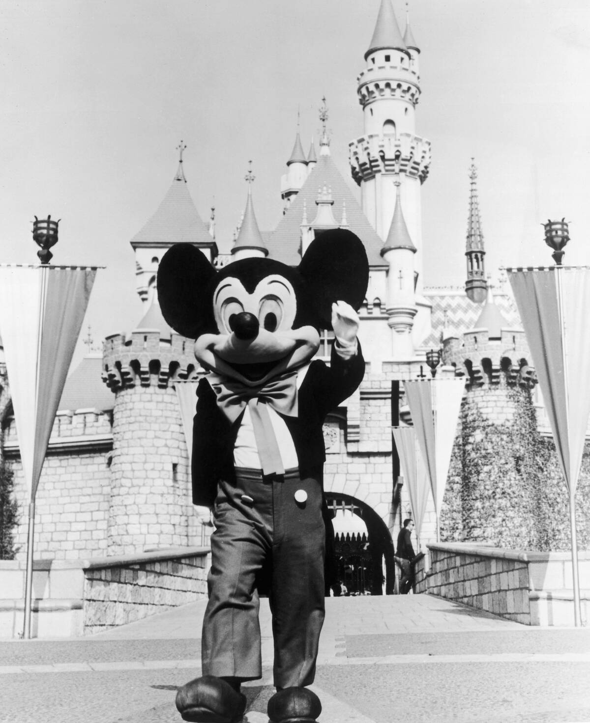 Hey Mickey