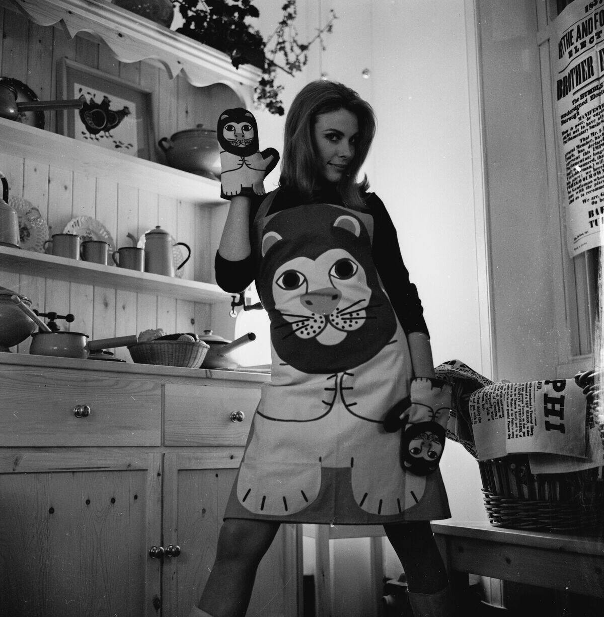 Kitchen Fashion