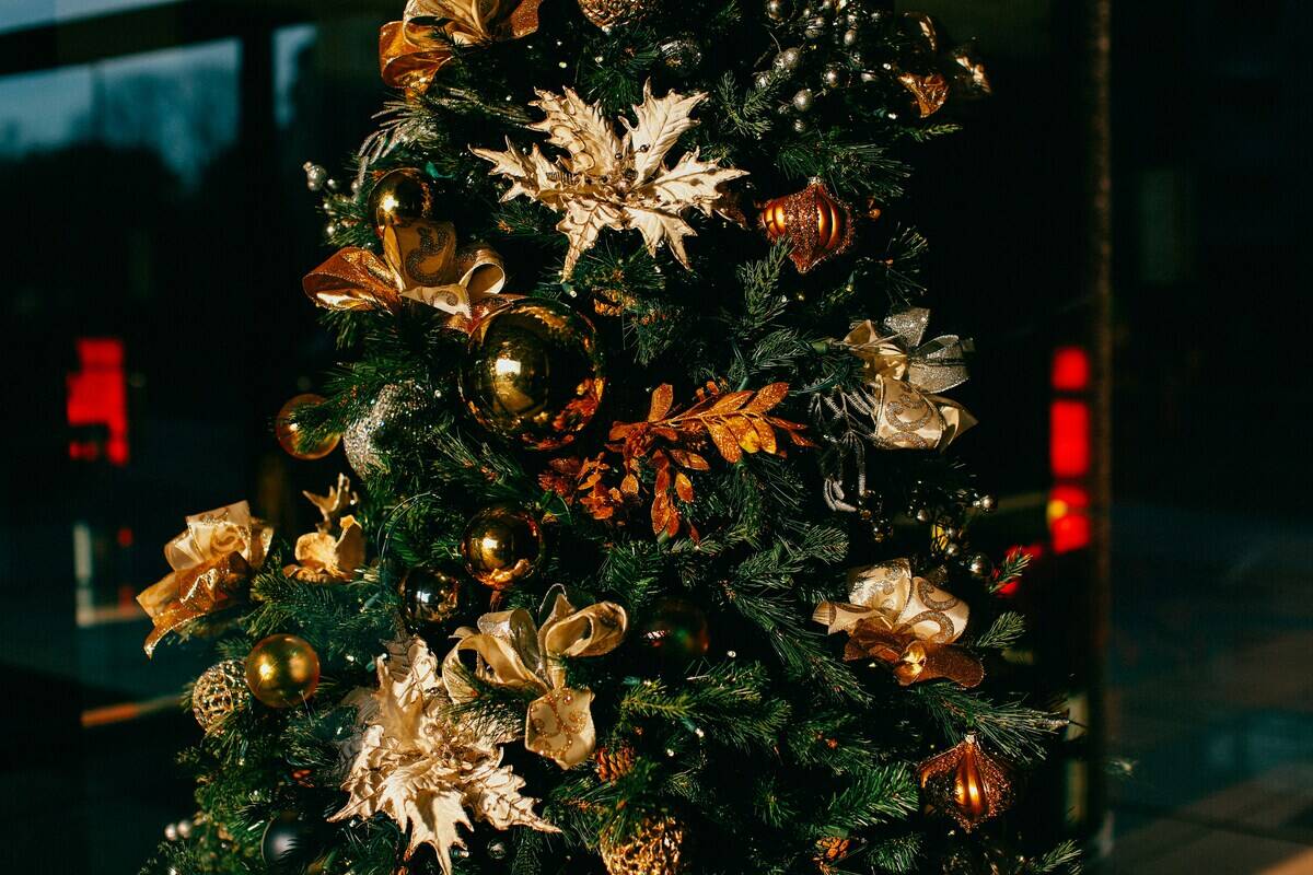 louis-magnotti-Kf8ko_oGN20-unsplash