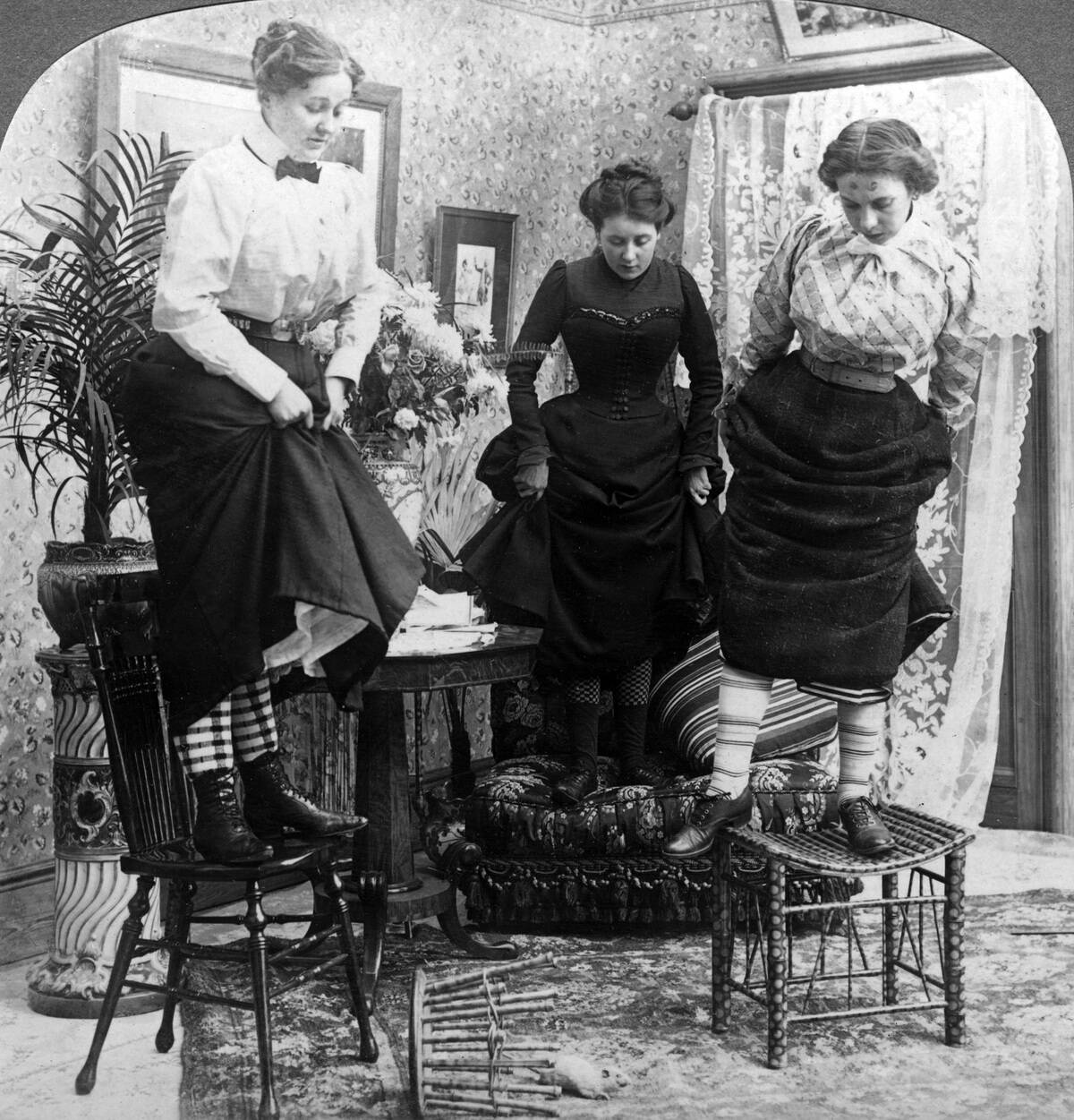 'Rats! Rats!! Rats!!!'.Artist: American Stereoscopic Company