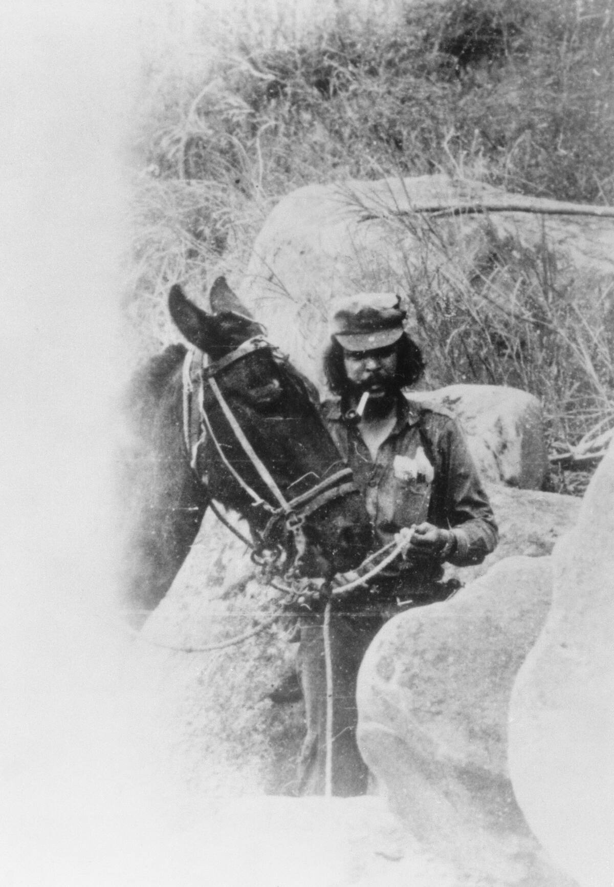 Revolutionary Che Guevara and Mule
