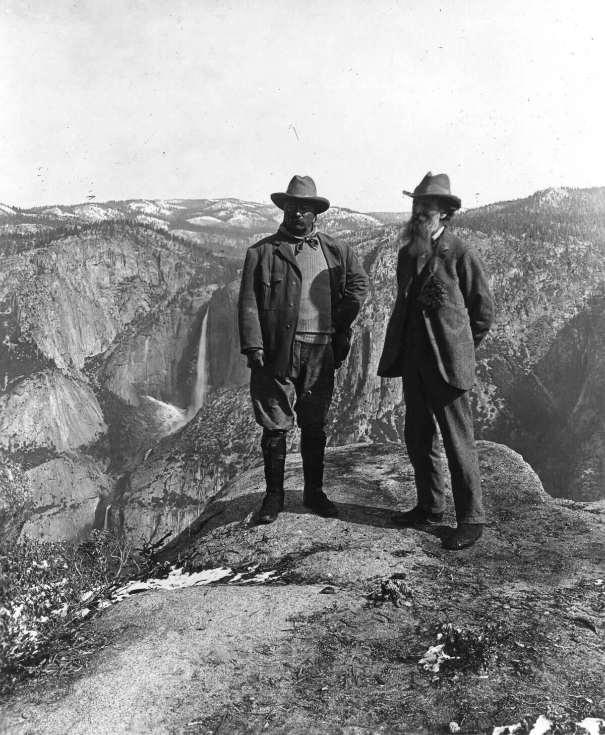 Roosevelt And Muir
