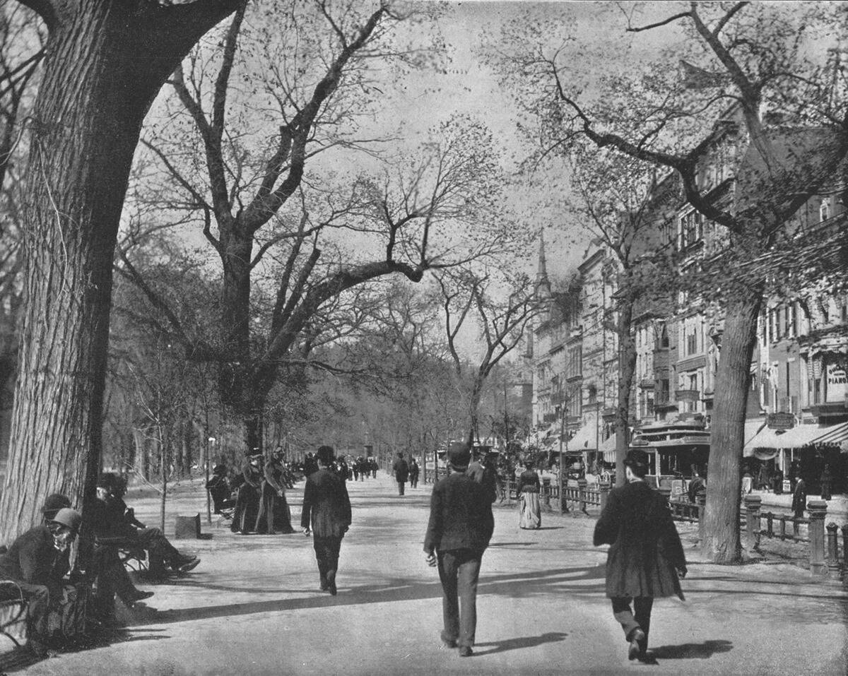Tremont Street And The Common
