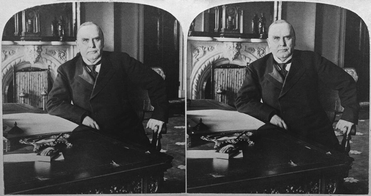William McKinley, American Politician