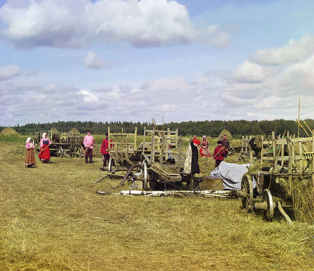 Gorskii_04422u