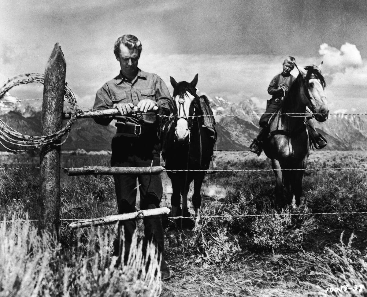 Alan Ladd, Brandon De Wilde In 'Shane'