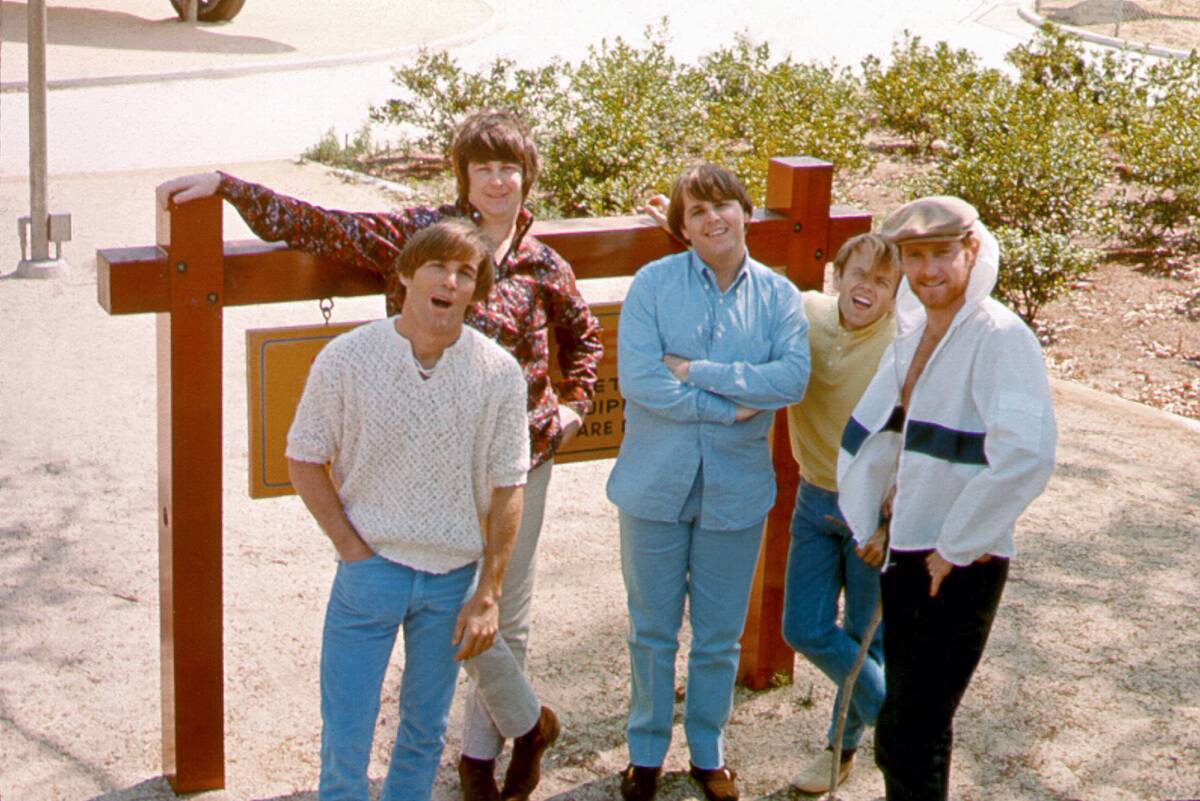 Beach Boys Portrait