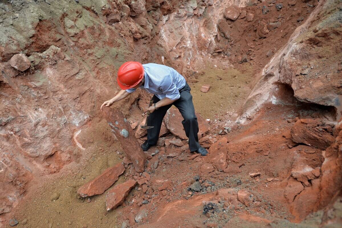 CHINA-PALAEONTOLOGY-DINOSAUR-FOSSILS