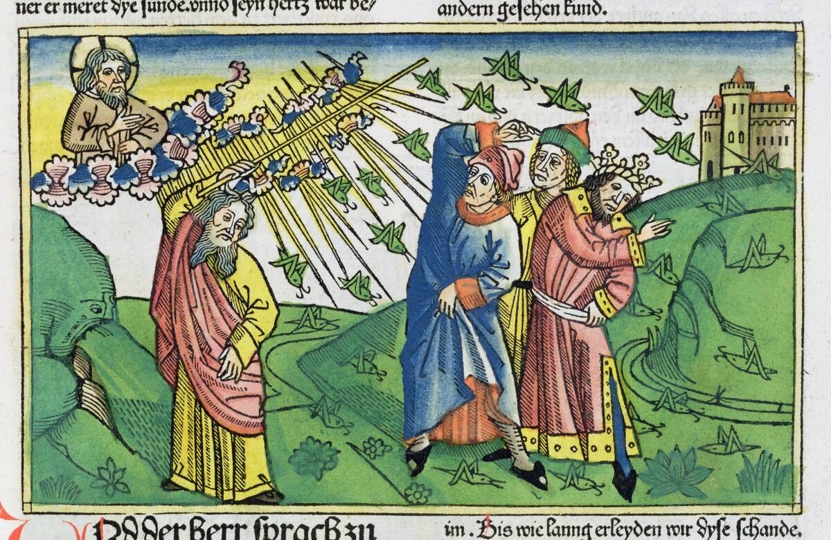 Exodus 10:1-20: The Plague Of The Locusts One Of The Seven Plagues Of Egypt