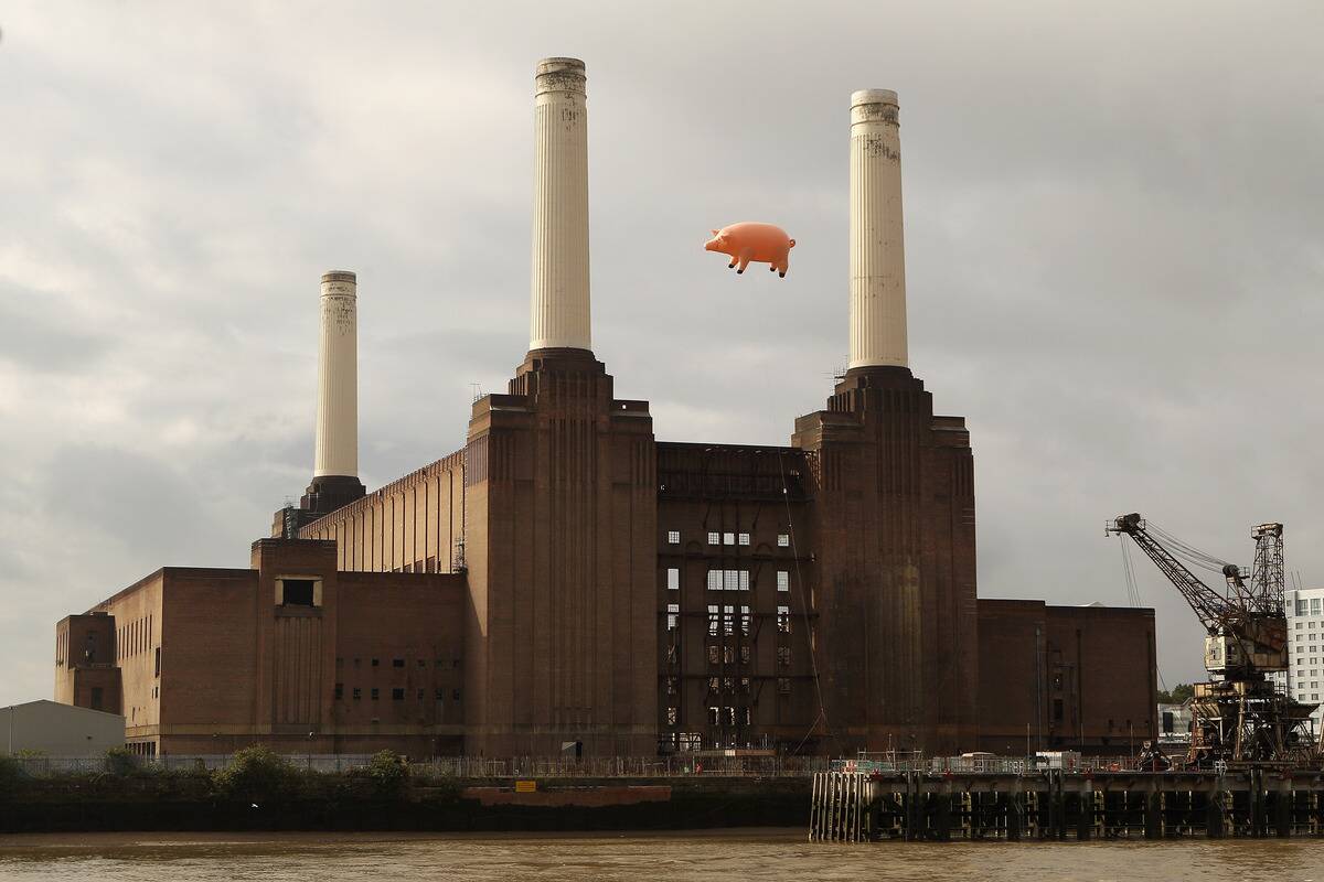 Flying Pig Recreates Pink Floyd Album Cover